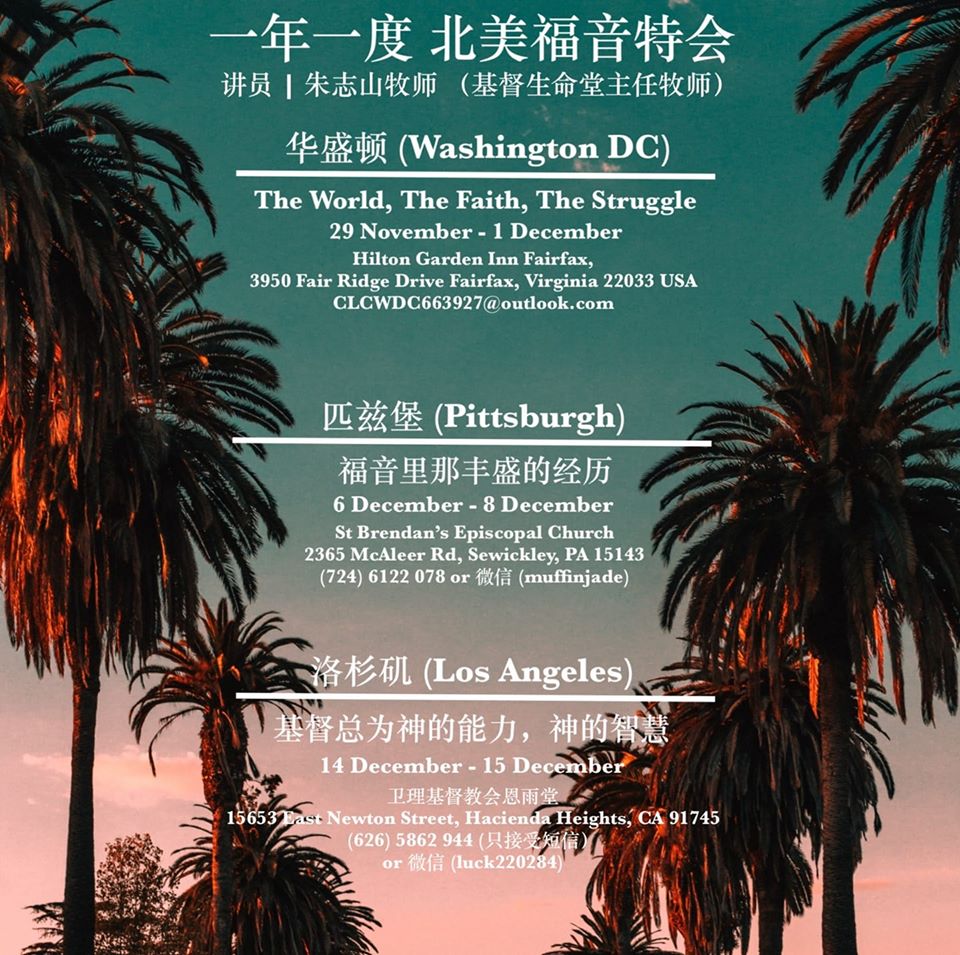 A palm tree

Description automatically generated