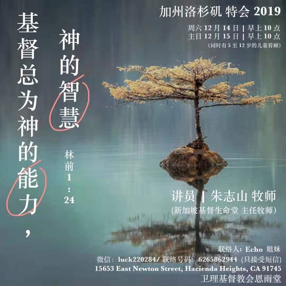 A picture containing text
Description automatically generated